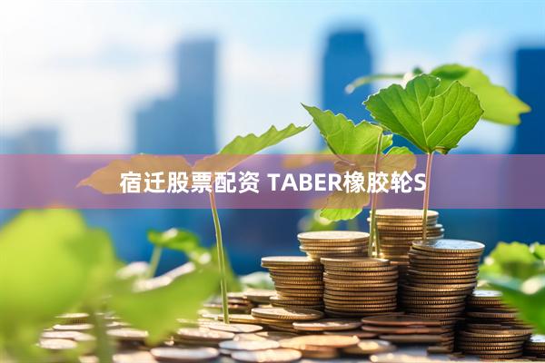 宿迁股票配资 TABER橡胶轮S