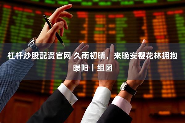 杠杆炒股配资官网 久雨初晴，来晚安樱花林拥抱暖阳丨组图