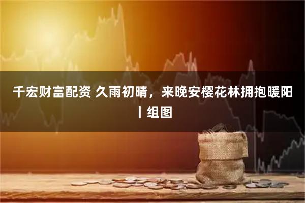 千宏财富配资 久雨初晴，来晚安樱花林拥抱暖阳丨组图