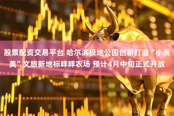 股票配资交易平台 哈尔滨极地公园创新打造“小而美”文旅新地标咩咩农场 预计4月中旬正式开放