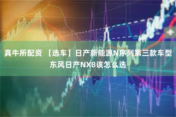 真牛所配资 【选车】日产新能源N序列第三款车型东风日产NX8该怎么选